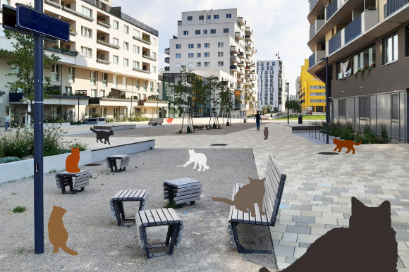 Das ist eine Test-Bildunterschrift, Credit: Fotograf Katze Katze