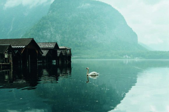 Mr‐Oﬀenblende.at